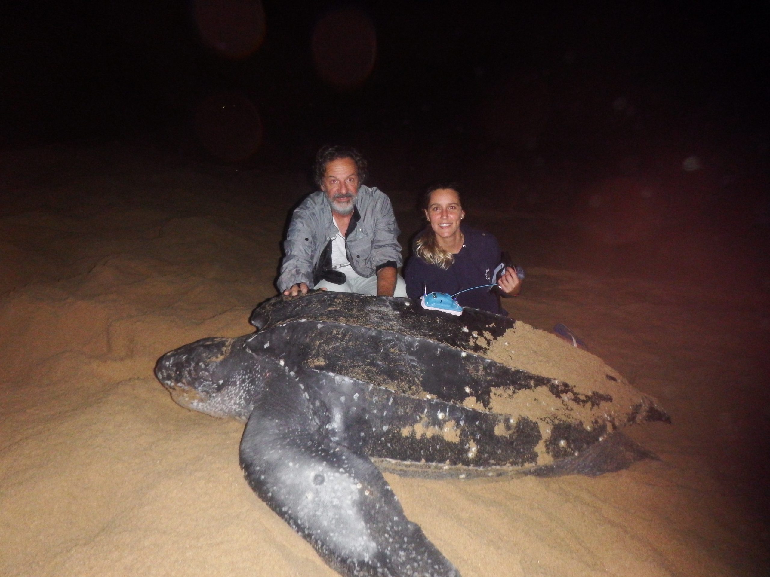 Tracking turtle brendan godley