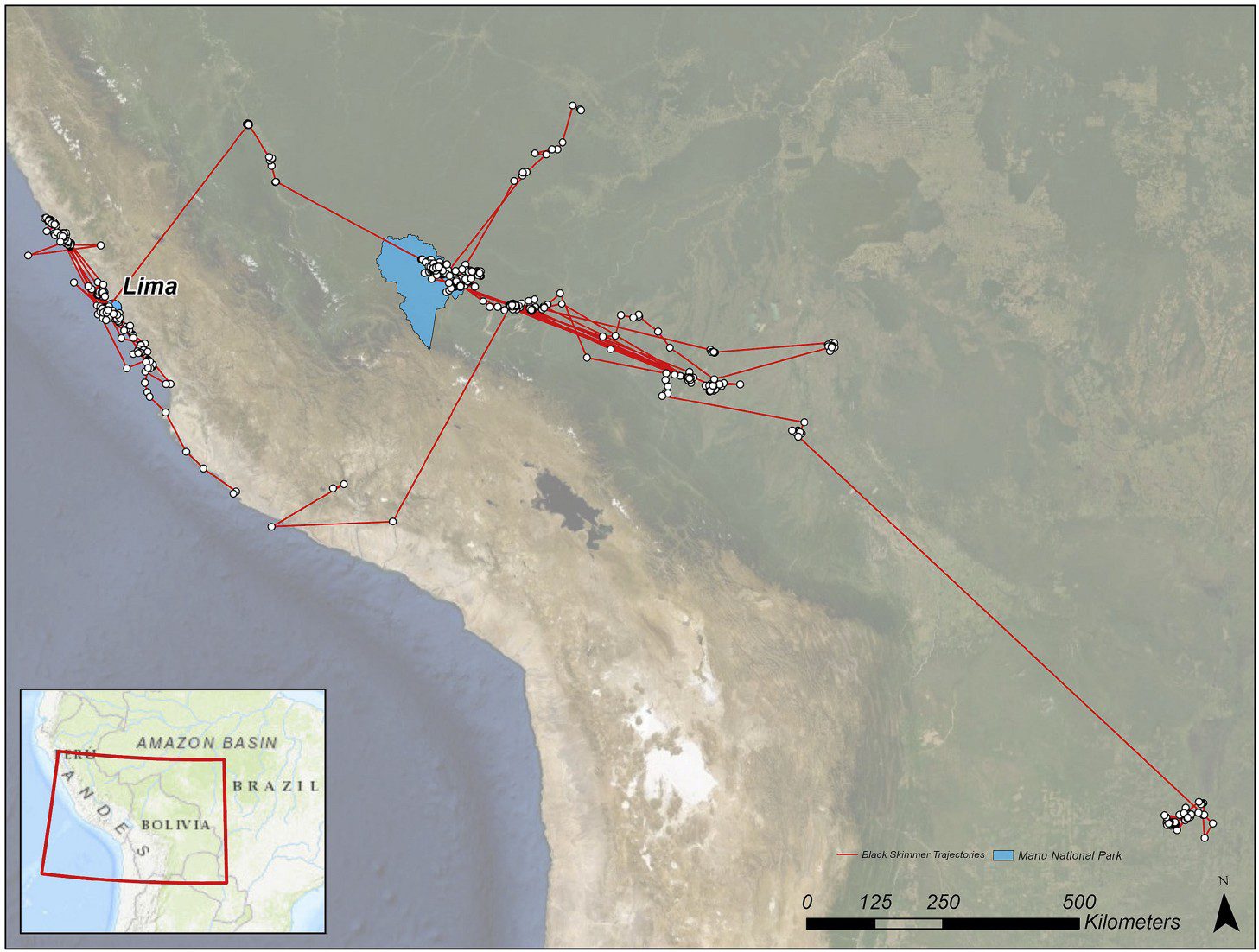 The area of study and all the locations from the seven black skimmers tracked