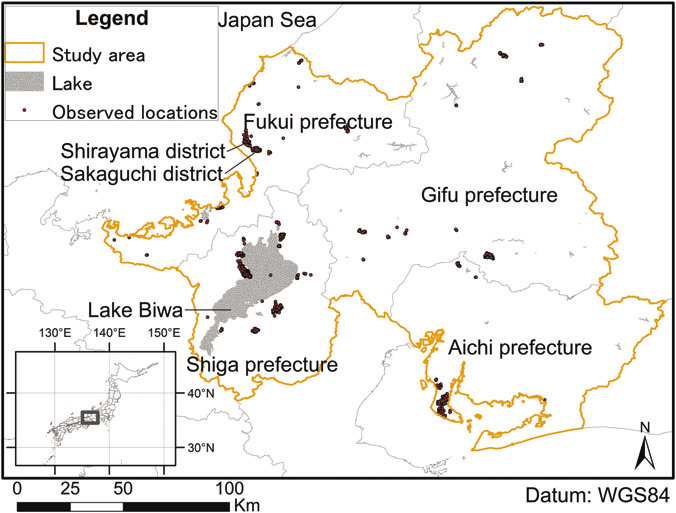 Locations of the four tagged oriental white storks