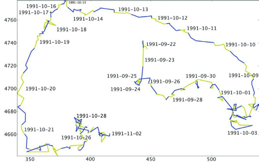 Day-night alternance along the whale's journey