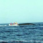 a whale and the boat used to equip it