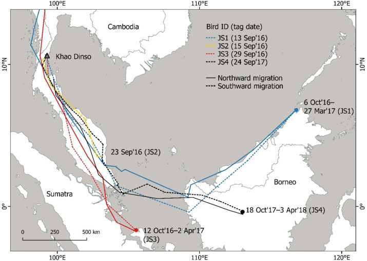 Tracks during spring and autumn migration of Japanese Sparrowhawks