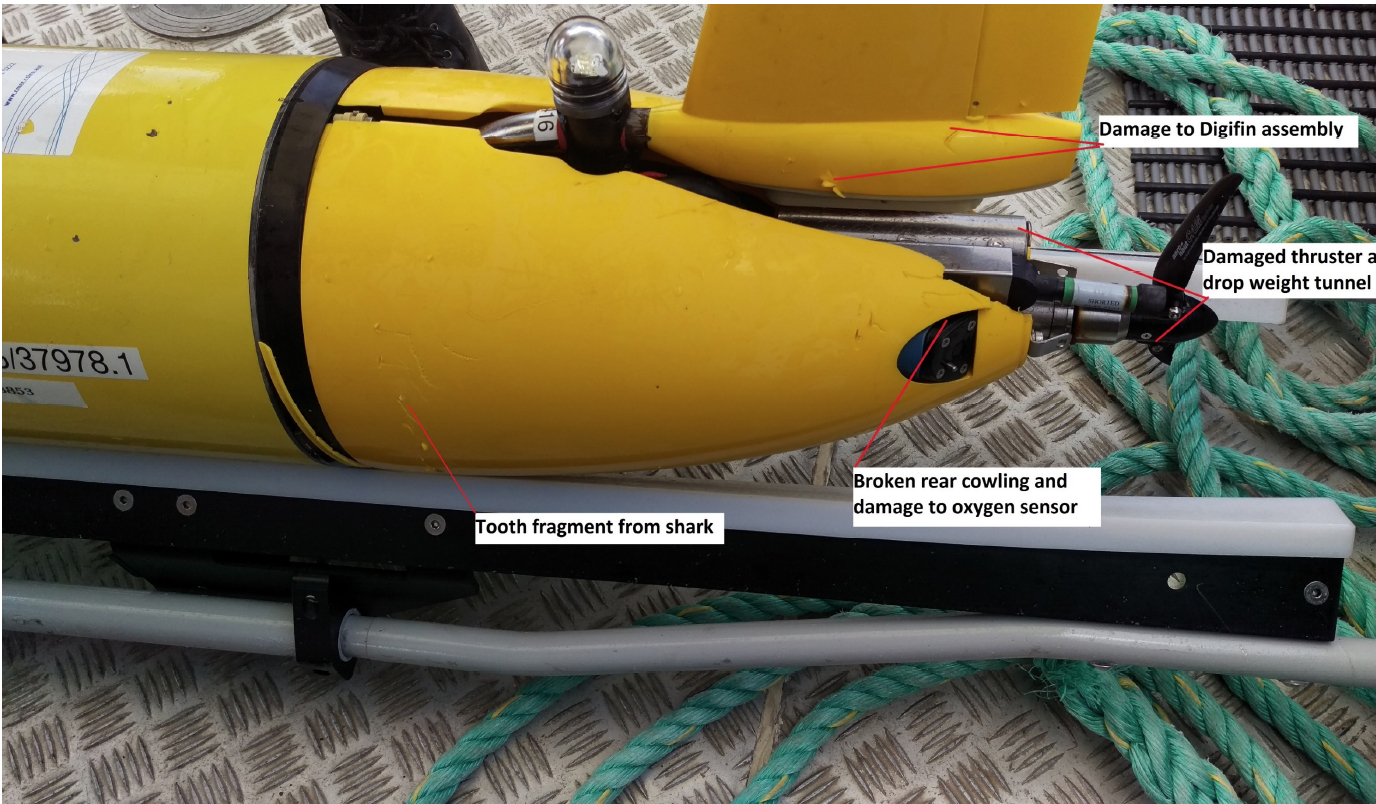 Finding CSIRO’s Glider 416 following a shark attack