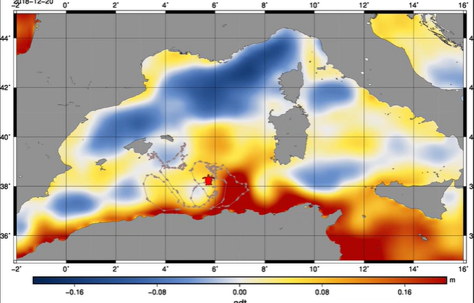 Vita turtle mediterranean journey