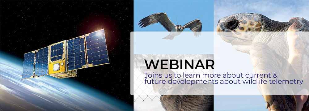 [WEBINAR] Animal tracking: The future of wildlife telemetry is coming