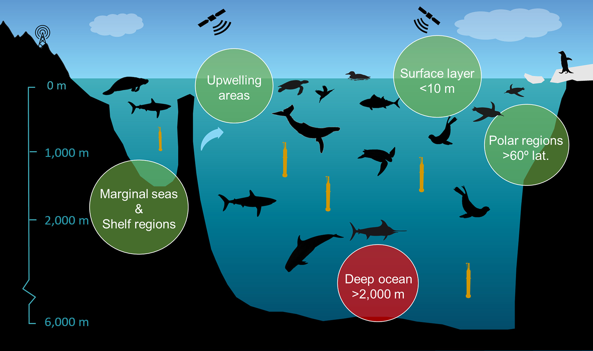 The main areas where animal-borne instruments can contribute are marginal seas and shelf regions upwelling areas, but also the upper 10 m and deep ocean, and poleward of 60° latitude. (source: [March et al. 2019])