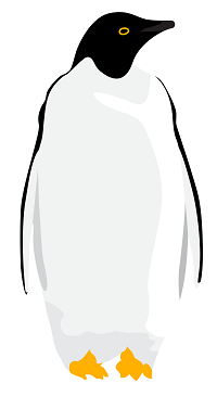 Adélie penguin