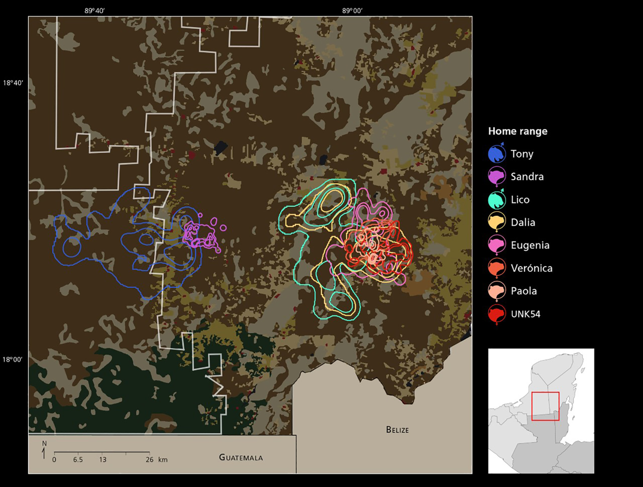 Overlap of home range (95, 75, and 50% kernels)