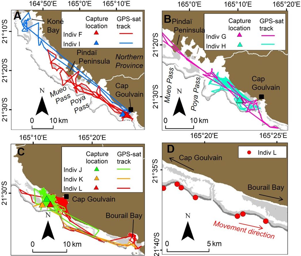 Movements of the 7 dugongs tracked in the Cap Goulvain region