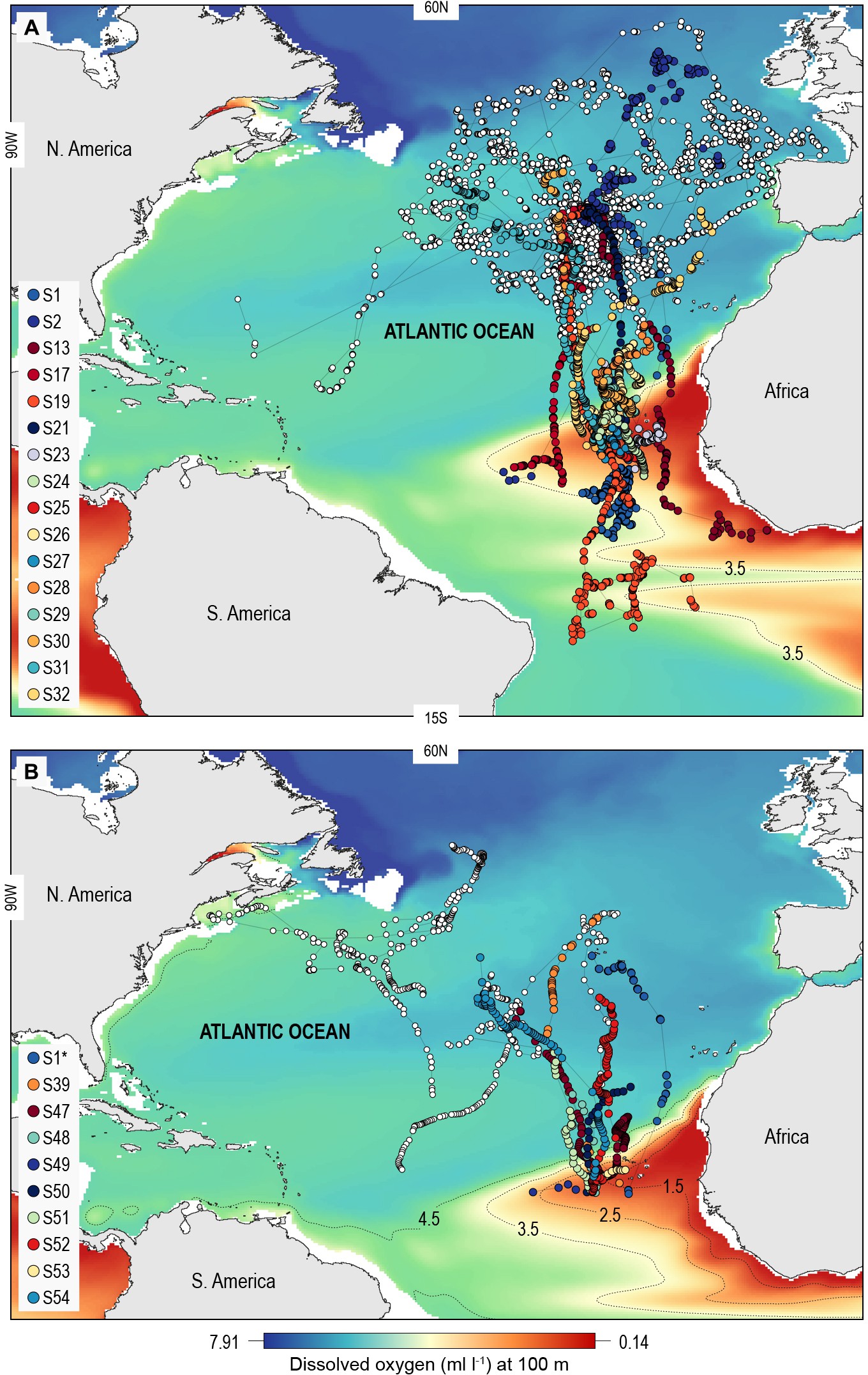 Movements of blue sharks in relation to the eastern tropical Atlantic oxygen minimum zone