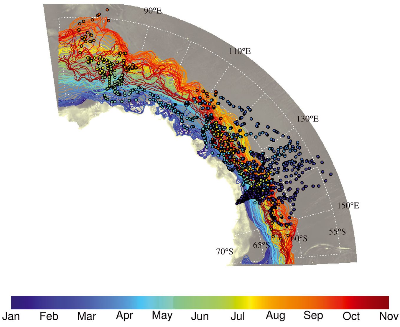 Tracks of the 15 juvenile emperor penguins (dots) and sea ice edge (lines) at different times of the year 2014