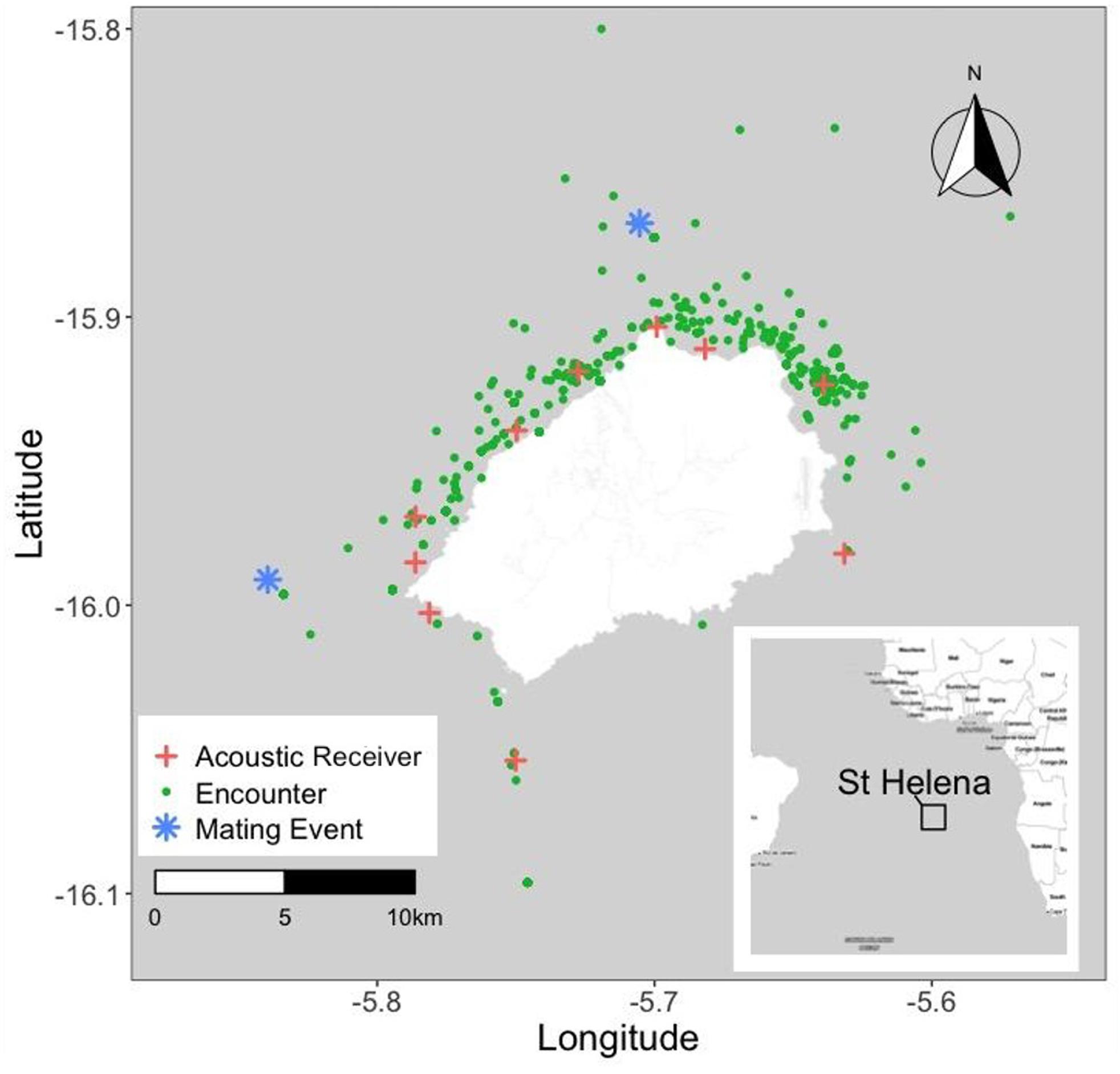 St Helena & whale shark sightings from 1999 to 2019