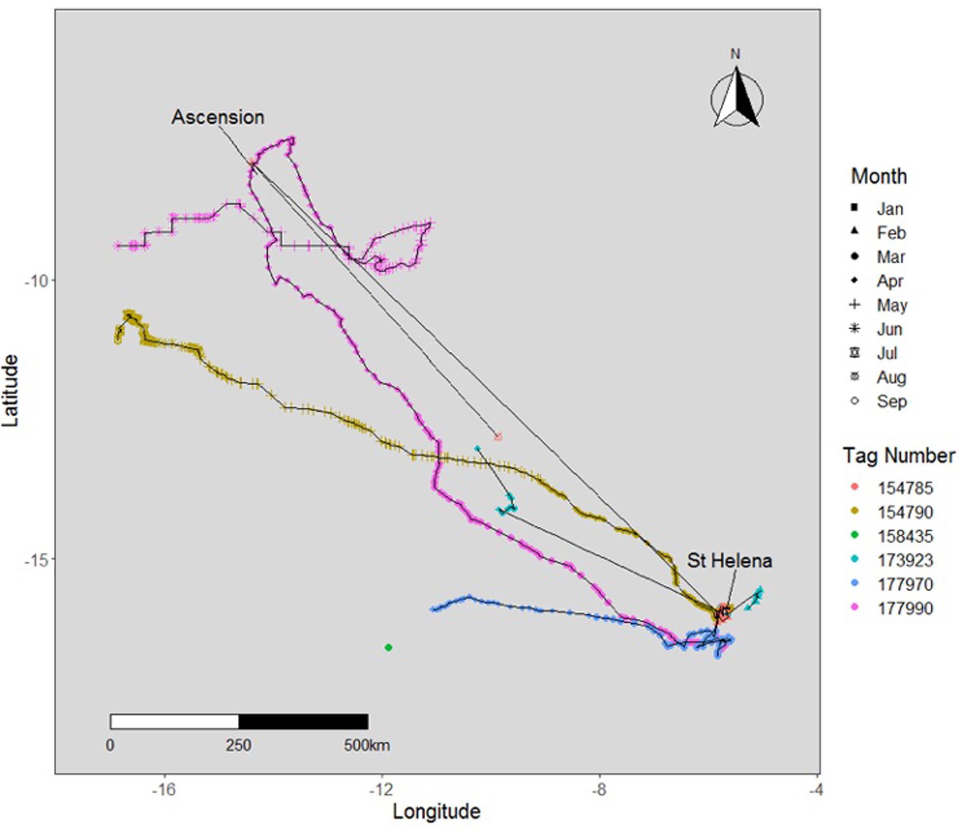 Three kind of whale shark paths recorded by the surface near-real time locations