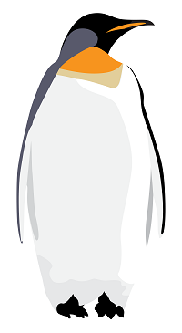 king penguin