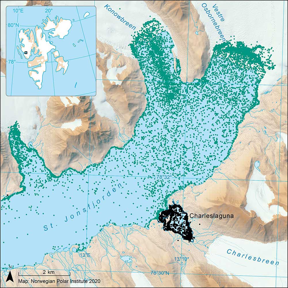 Filtered locations for the 20 ringed seals instrumented with GPS-linked satellite transmitters