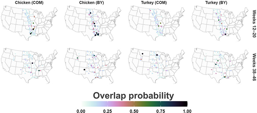 Mapped blue-winged teals to poultry facility overlap probability