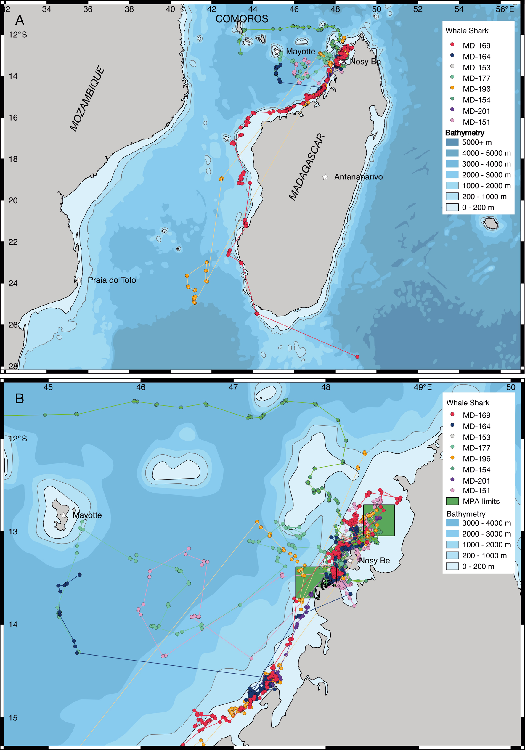 Satellite tracks of whale sharks tagged in Nosy Be