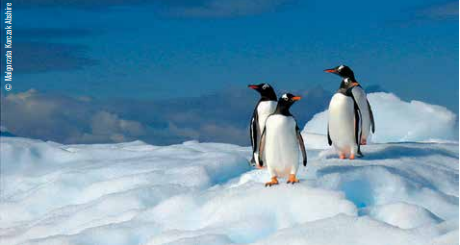 Keith Reid, Penguins show the way for marine spatial planning