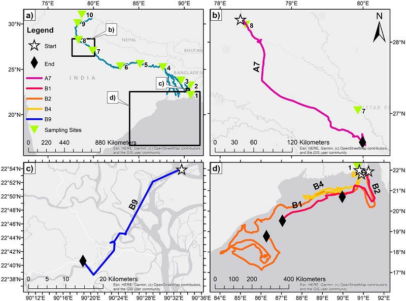 map of the sea expedition & example of bottle tracked