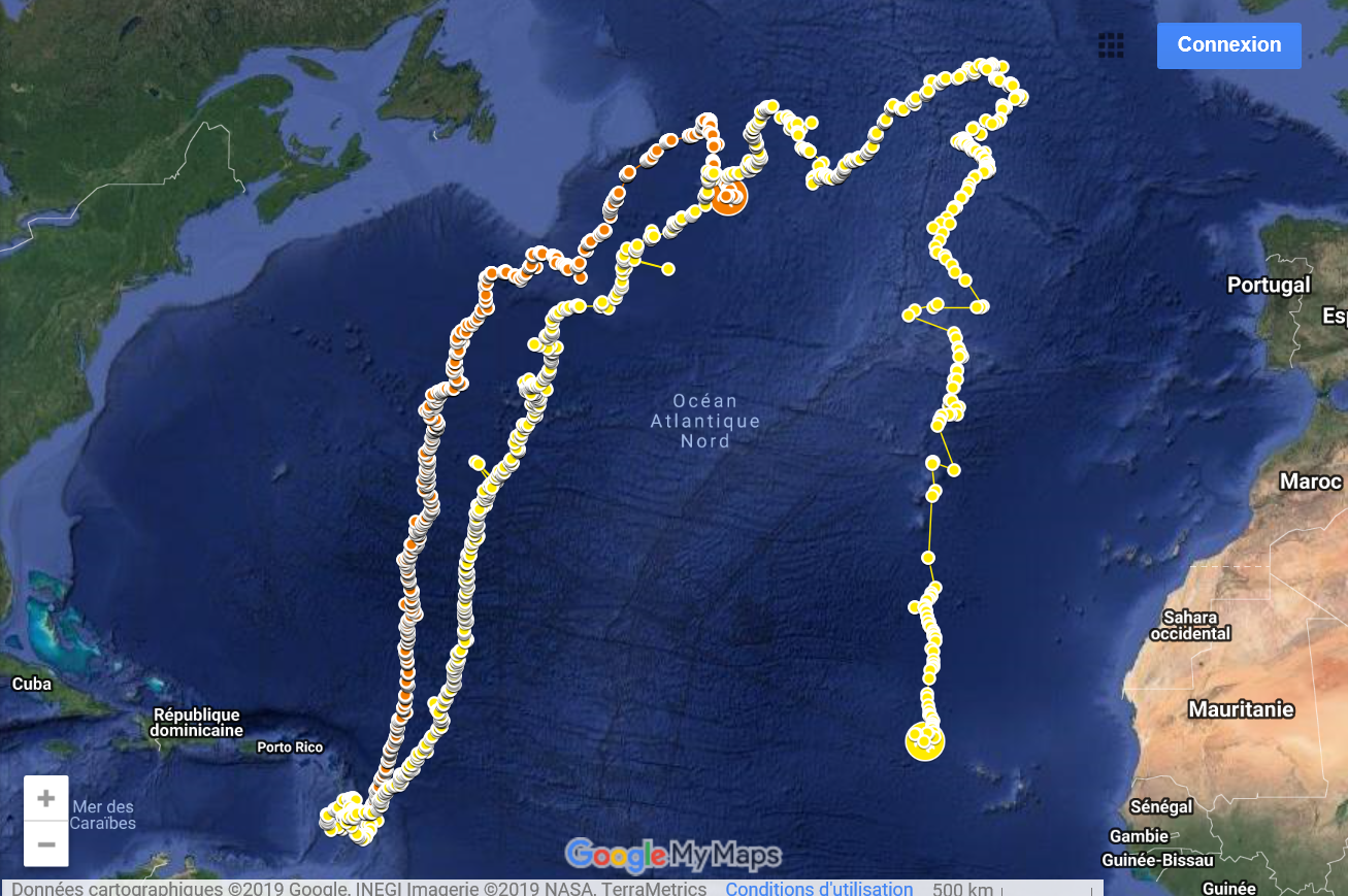 leatherback turtle tracking