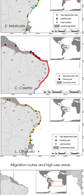 Tracking sea turtles in Brazil via the Argos system