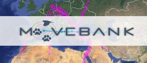 Managing Argos data in Movebank Managing Argos data in Movebank
