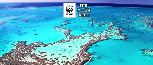 Australia: Argos users join global campaign to protect the Great Barrier Reef