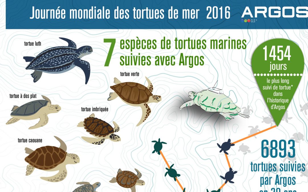 World Sea Turtle Day with Argos