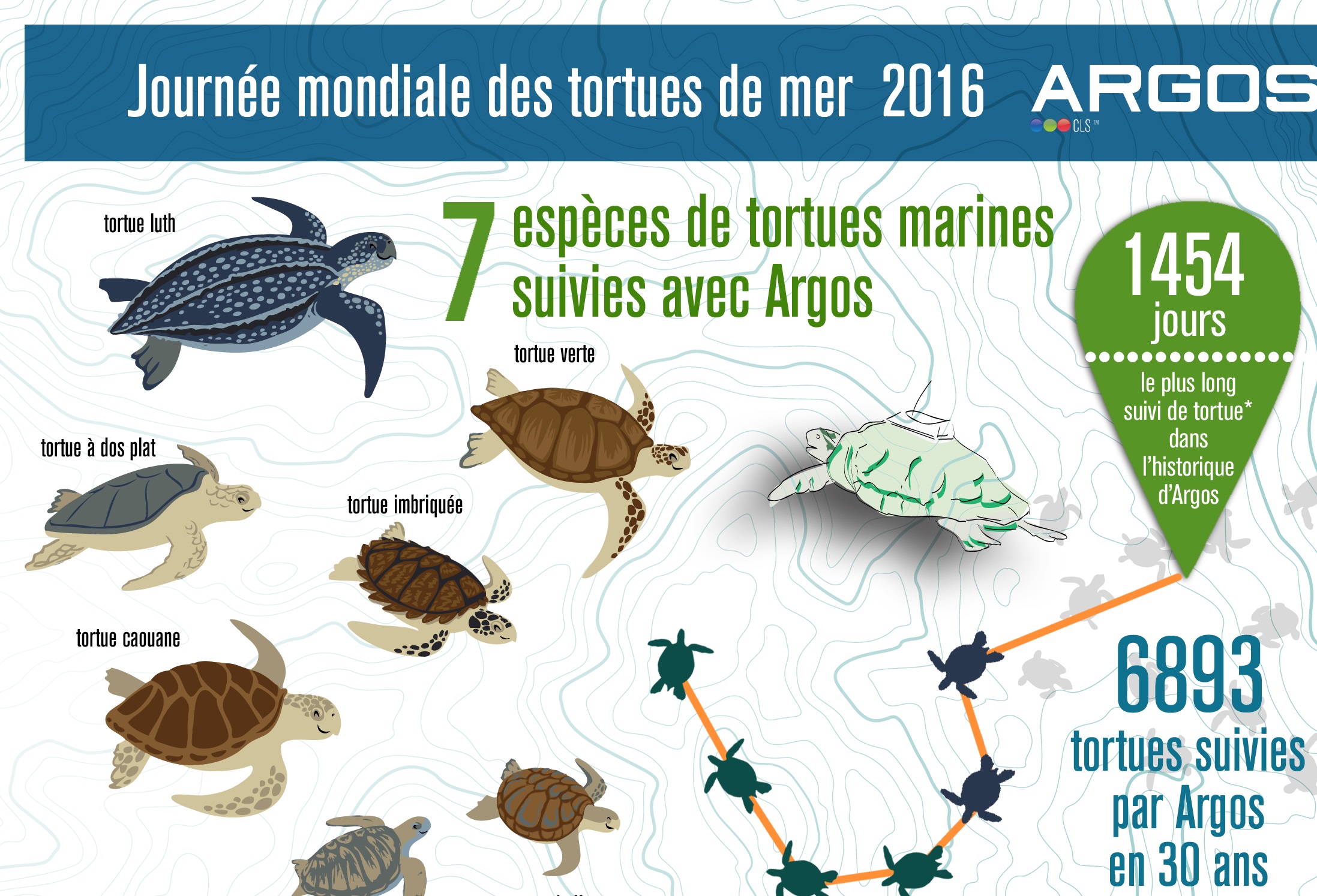 World Sea Turtle Day with Argos