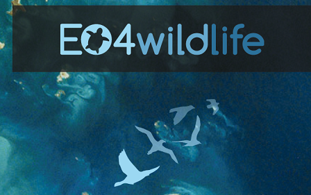 EO4Wildlife