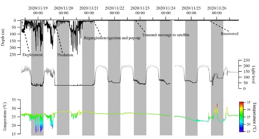 data recording predation event