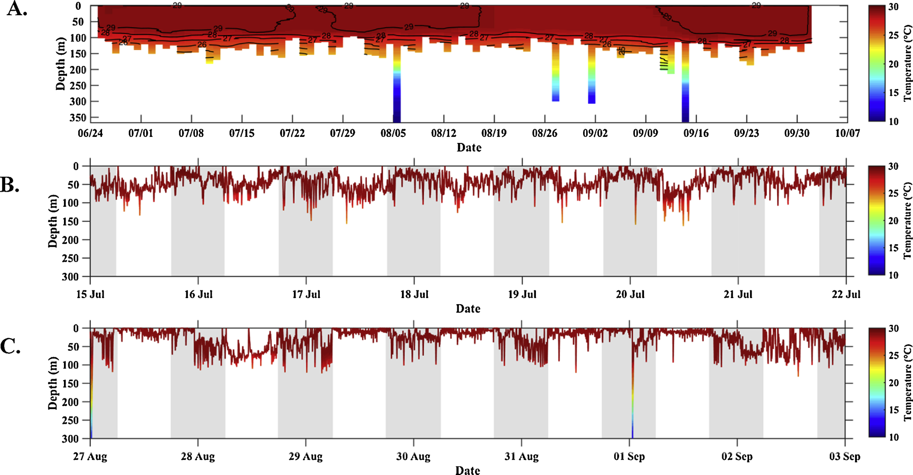 Archived tag data illustrating the depth and temperature for an entire deployment from one of the sharks