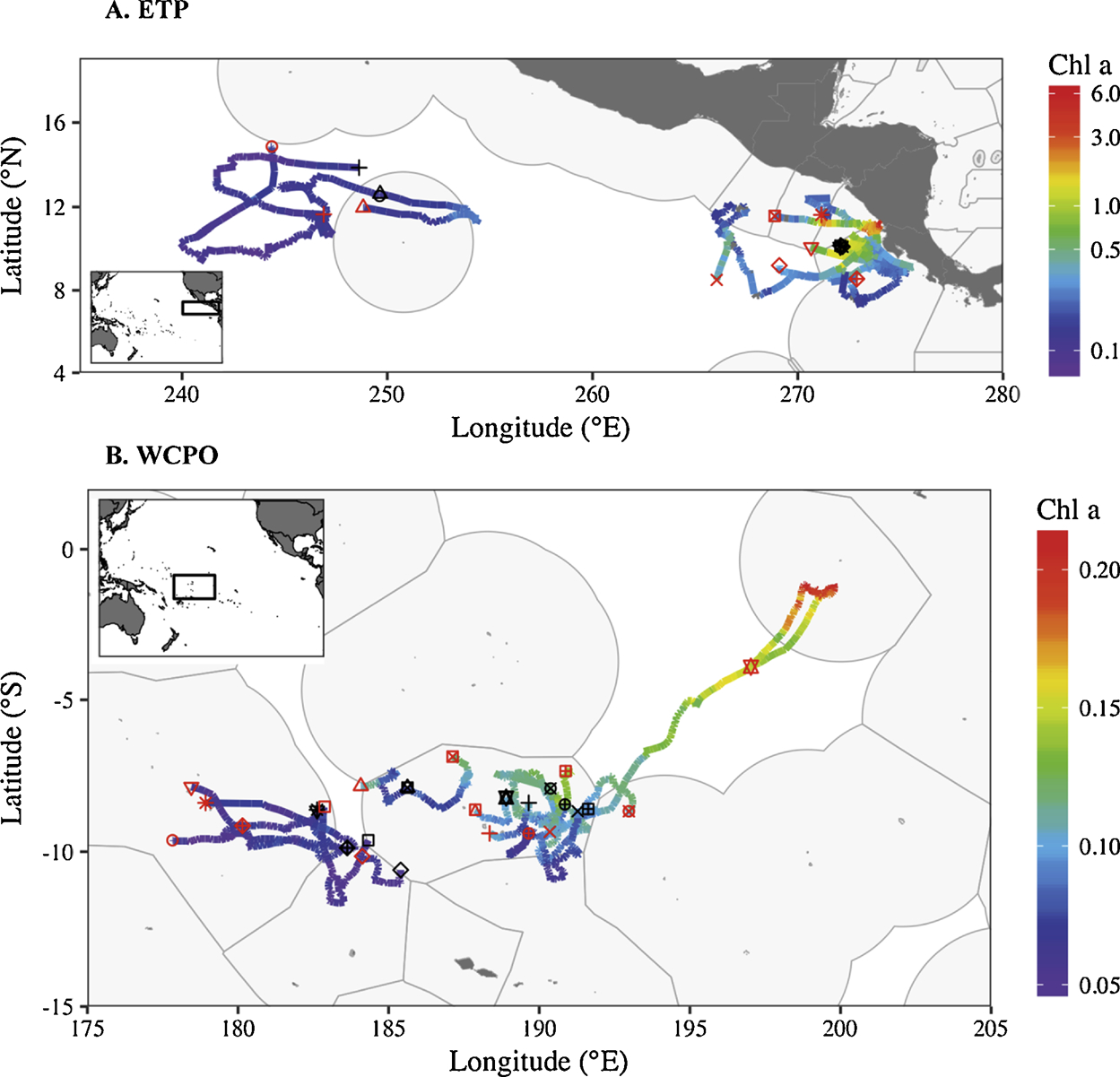 Silky shark tracks compared with chlorophyll-a concentrations from satellites