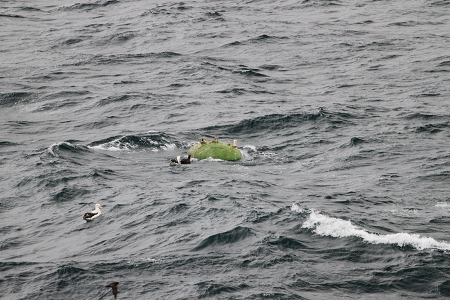 Undersea moorings recovered after 13 years of submersion thanks to Argos