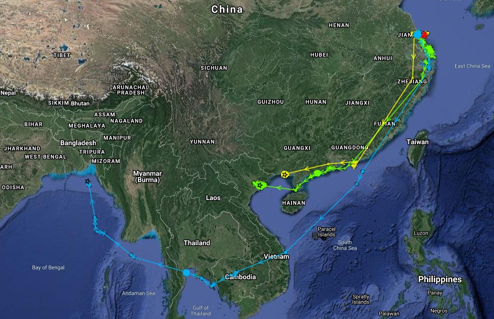 Tracks of three bird fitted with 2-g Argos PTTs in Jiangsu province, China, in autumn 2019 (Credit WWT)