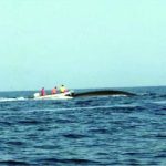 a whale and the boat used to equip it