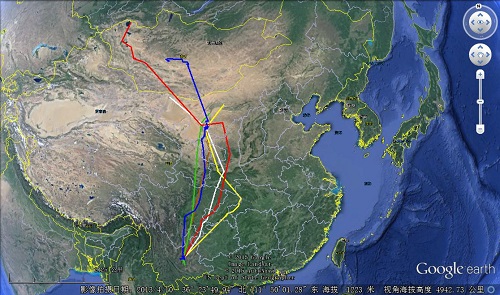 argos_tracking_data_china