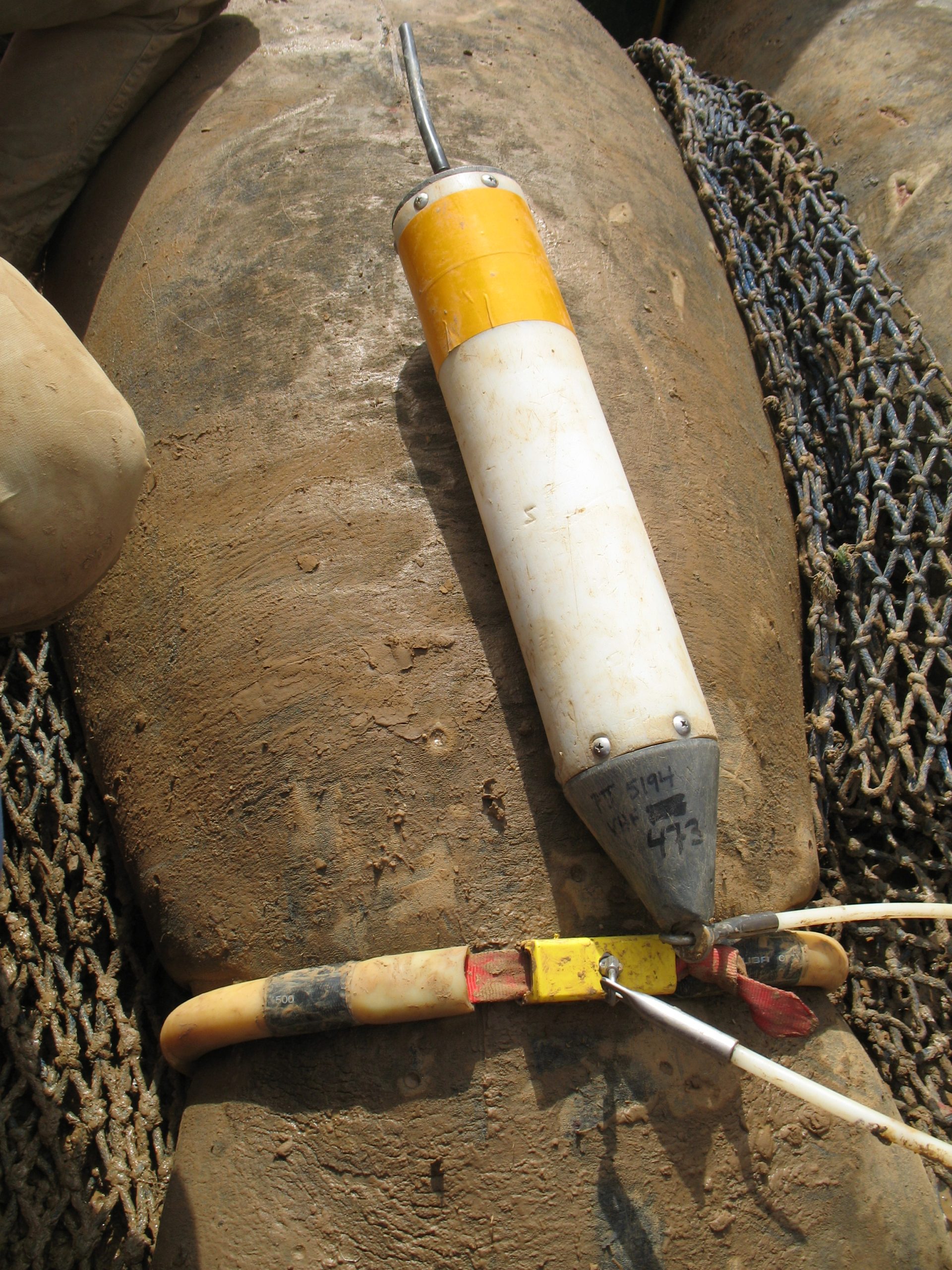 Argos PTT attachment through a tether by a belt to the caudal peduncle of a female African manatee