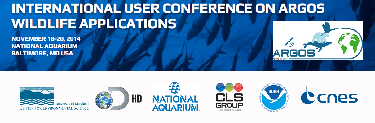 Argos aquarium sales
