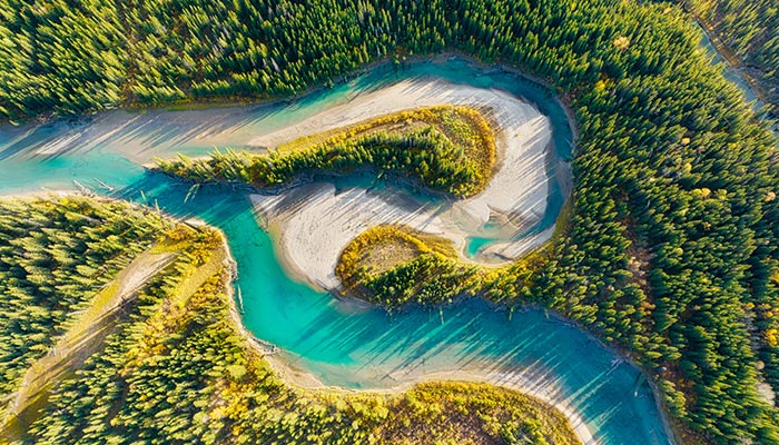 hydrology river in the forest