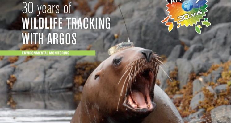 Argos Forum #68 | 30 years of Wildlife Tracking with Argos