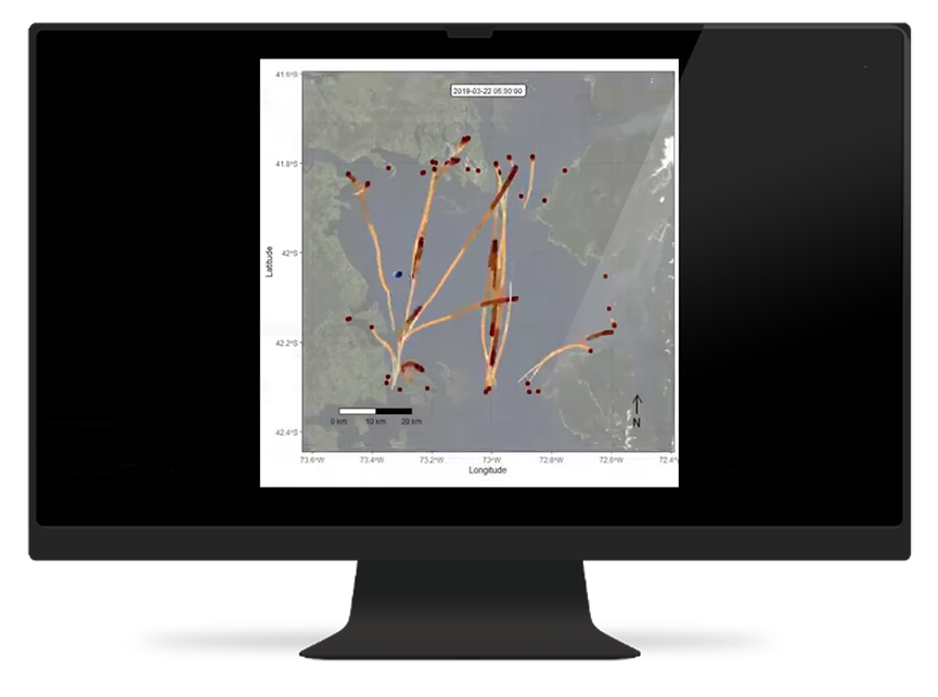 AIS maritime data