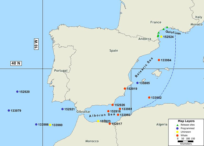 Release and pop-up positions of the 19 tagged eels from the 2013 and 2015-16 studies