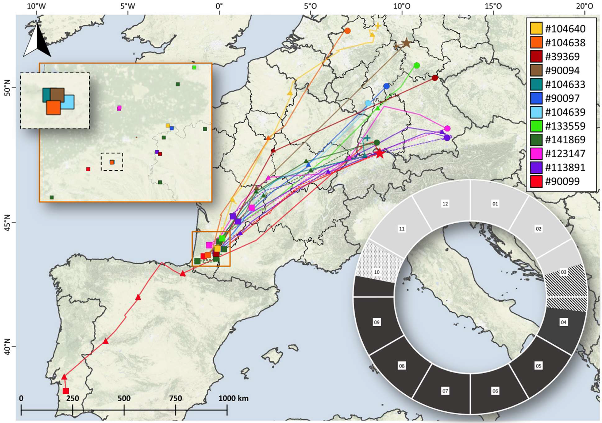 Tracks of twelve woodpigeon equipped with Argos transmitters (PTT non-solar or solar tags) in France (11 individuals) and Portugal (1 individual) during the wintering (non-breeding) season (from [Schumm et al., 2022])