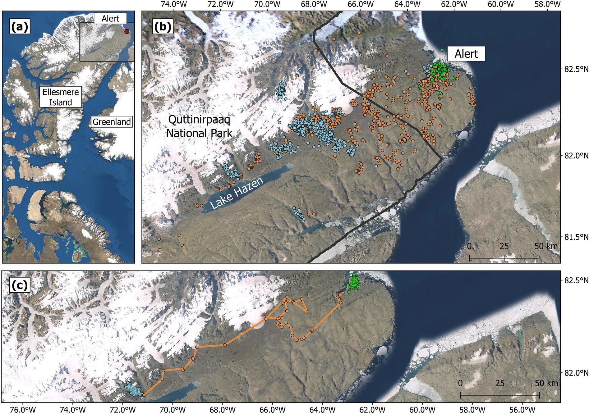 Location of study area at the northeastern tip of Ellesmere Island