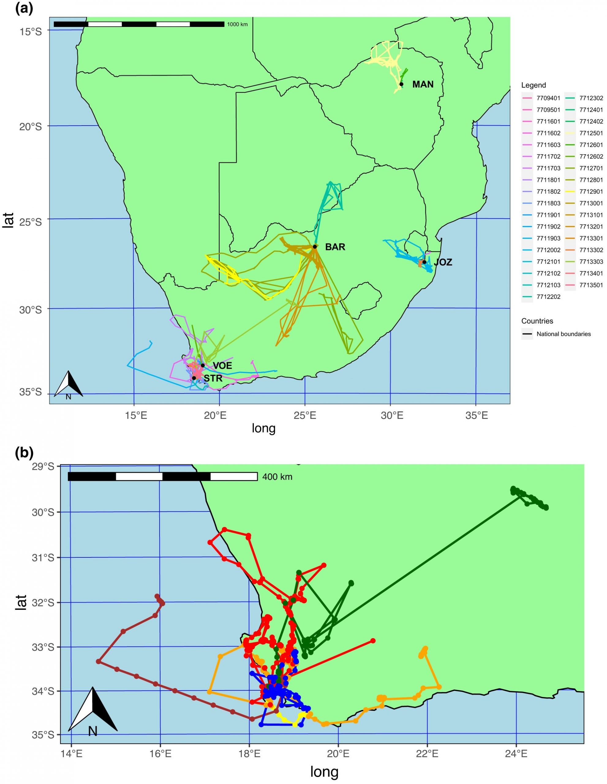 Map of southern Africa, showing movement paths from all 29 resident birds and 6 translocated birds