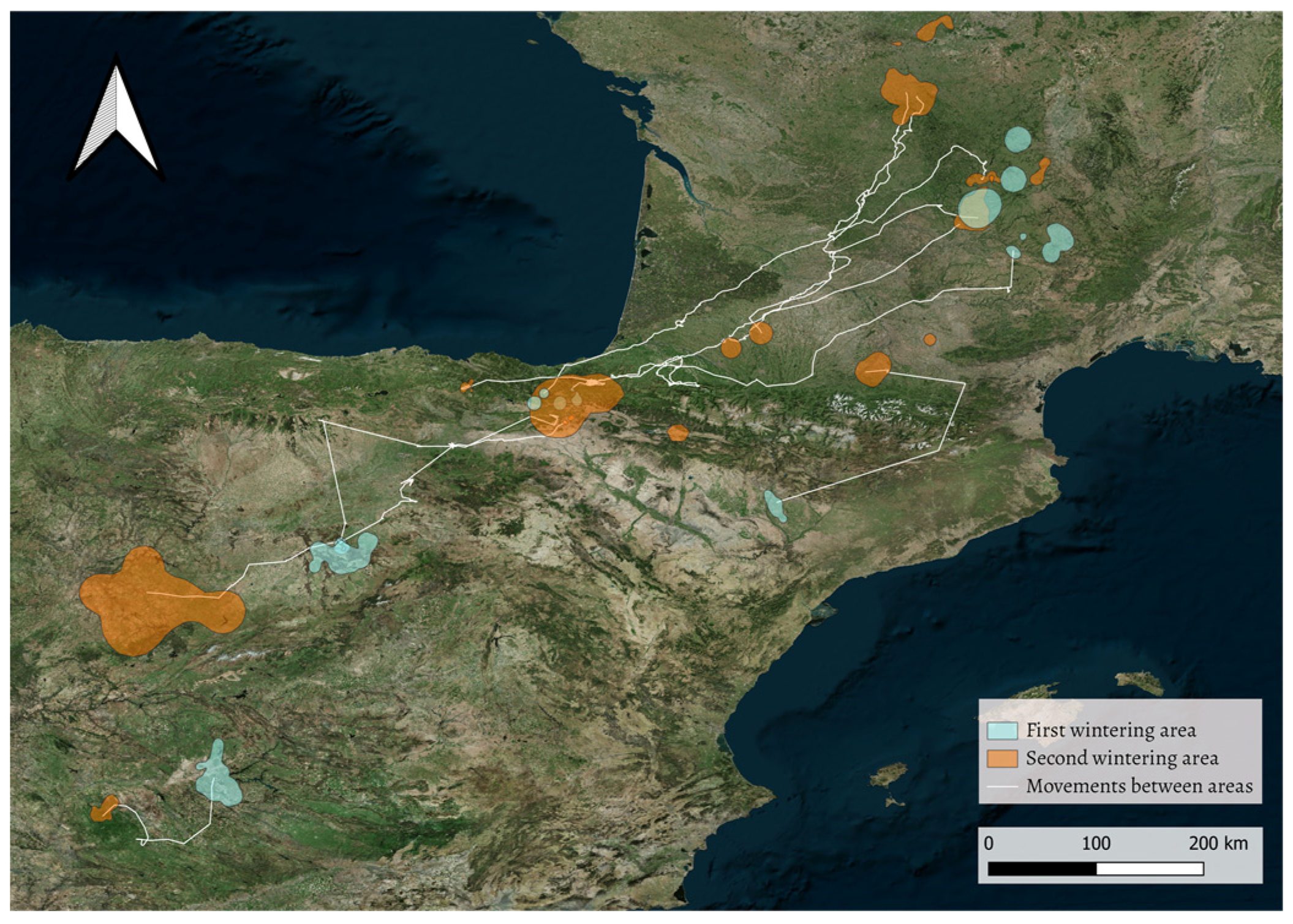 Area shifts performed by individuals during their non-breeding seasons
