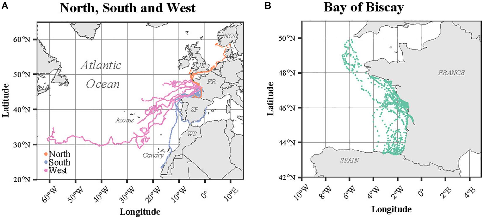 Satellite tracks of the immature turtles according to the pattern of their travel