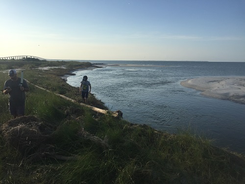 Lost shark tag found thanks to the Animal Telemetry Network and the Argos goniometer