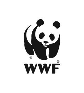 wwf logo